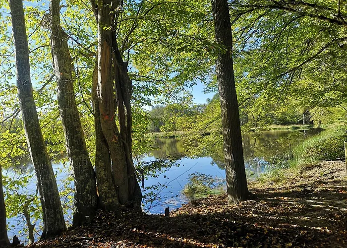 Gite Des Pins-Chambord-Beauval