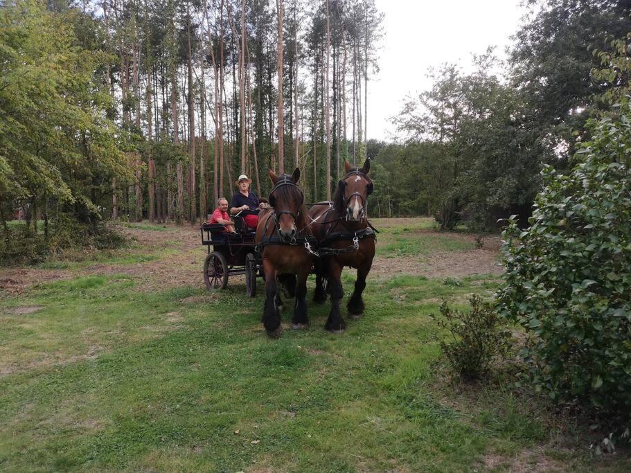 Des Pins-chambord-beauval Holiday home Cheverny