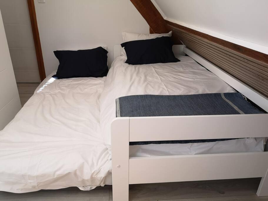 Des Pins-chambord-beauval Holiday home Cheverny