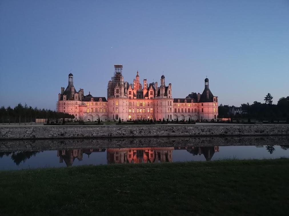 Des Pins-chambord-beauval Ferienhaus *